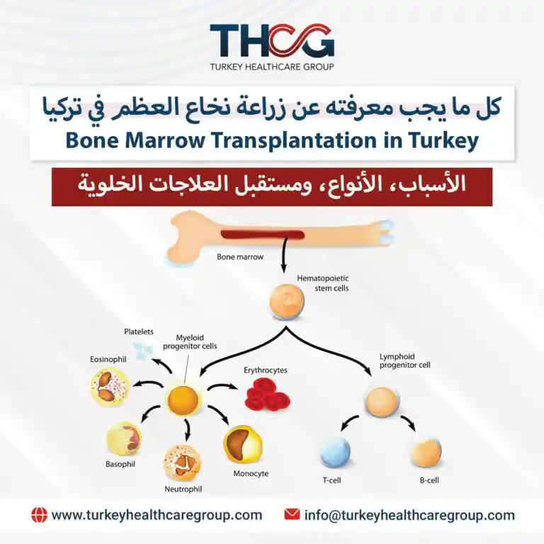 زراعة نخاع العظم